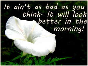 White Flower Good Morning Quotes