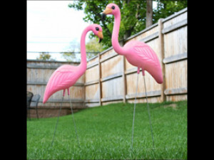 Pink Flamingos Names Divine