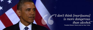 Obama%20Pot%20Alcohol.JPG#obama%20%20pot%20head%20gifs%201213x399