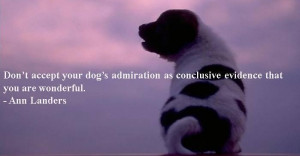 Let's Talk About Dogs