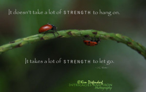 Lady Bugs - Strength - Quote by J. C. Watts