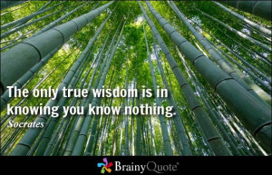 ... true wisdom is in knowing you know nothing. - Socrates at BrainyQuote