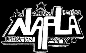 An Open Response Letter to the New Afrikan Black Panther Party with ...