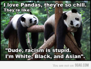 Pandas aren't racist