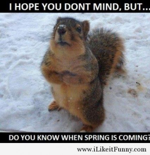 Spring is coming funny picture 2014
