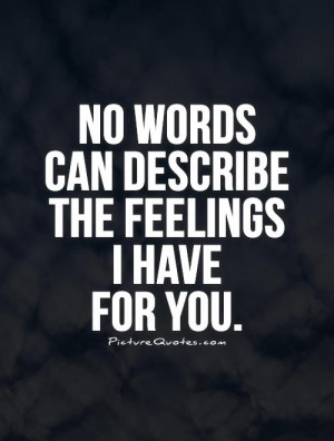 No words can describe the feelings I have for you. Picture Quote #1