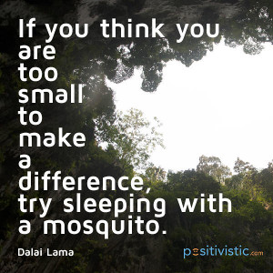 ... : dalai lama quote difference mosquito comparison motivational