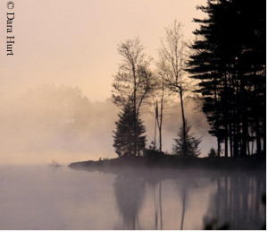 About Contact Disclaimer DMCA Notice Privacy Policy