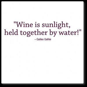 wall quote decal - wine is sunlight
