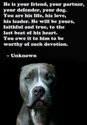 Once A Friend Always A Friend | A community of Pit Bull lovers!