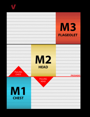 Singing Lessons Vocal Learn