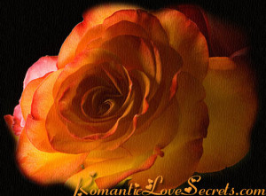 Twisted Rose - Sad Love Poems - Romantic Love Secrets - - Love ...