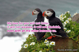 My love for you will not falter, it will not weaken, it will not ...