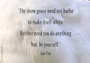Snow goose quote - Lao Tzu