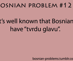 in collection: .bosnian problems