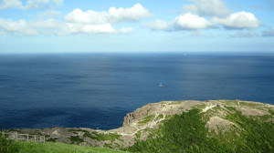 Inspirational Nature Foliage Quotes Rumi /