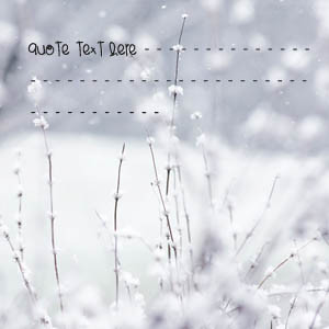 Winter Wonderland - Design your own names