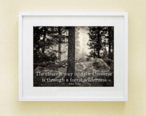 ... Inspirational Poster, Landscape Photo, John Muir Quote, Poster
