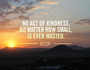 No act of kindness, no matter how small, is ever wasted.' - Aesop