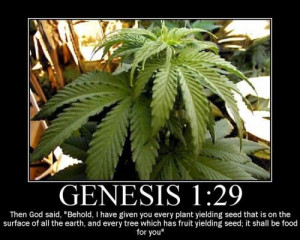 Oklahoma Senator Quotes Genesis 1:29, Seeks Marijuana Legalization