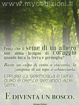 Do you think that the seed of a tree does not need courage when hole ...