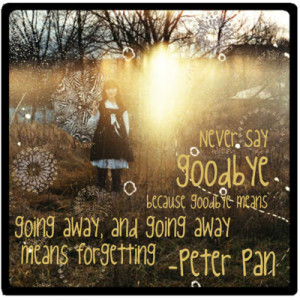 Never say goodbye because goodbye means going away, and going away ...
