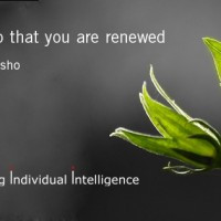 osho-quote-01