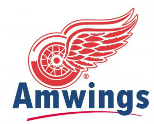 Wings/Amway deal comes to an end