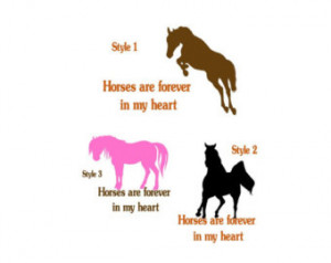 Horse Quotes For Instagram (29)