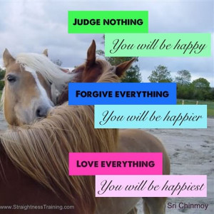 Horse Quotes : Page 3