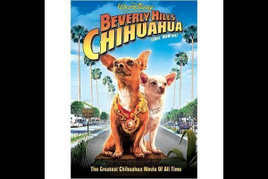 Beverly hills chihuahua - Image of Beverly Hills Chihuahua