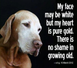 Uploaded to Pinterest