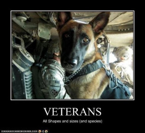 ... Heroes, Veterans Day, Service Dogs, German Shepherd, Animal, Work Dogs