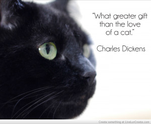 Cat Quote Two