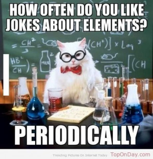 ... Science Jokes, Science Cat, Chemistry Humor, Chemistry Cat, Science