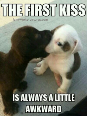 Funny Dog First Kiss Is Always A Little Awkward Picture Photo Meme