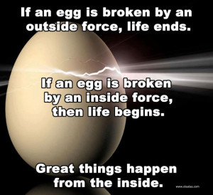 this entry was posted in quotes and tagged egg force life quotes
