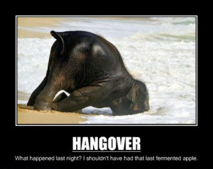 Hangovers_funny_picture