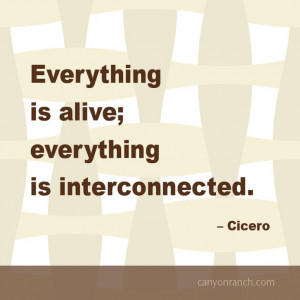 Everything is alive; everything is interconnected. – Cicero #quote