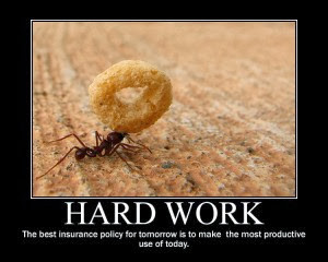 Holy shite!!!!! Padraic got an OP 4. Congrats! All those English ...