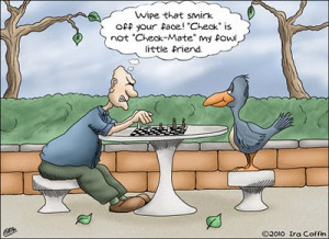 Funny Chess (26)