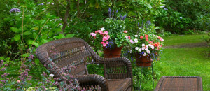 Landscaping and Gardening - Farringdon - Chair in garden