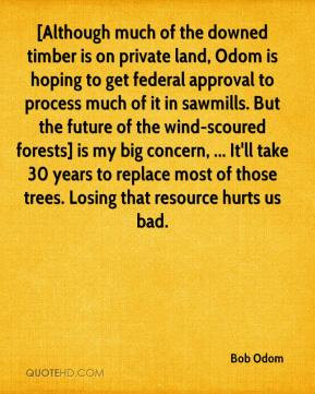 Timber Quotes