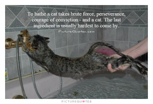 To bathe a cat takes brute force, perseverance, courage of conviction ...