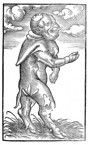 Artist Lucas Cranach The Elder