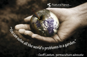 You can solve all the world's problems in a garden.” - Geoff Lawton ...