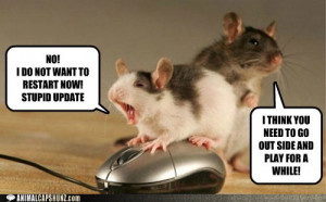 Imgs For gt Funny Pictures Of Animals Doing Funny Things With Captions