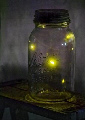 ... Bugs, Canning Jars, Childhood Memories, Summer Nights, Lightning Bugs