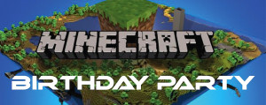 Minecraft Birthday Party Skylander Birthday Parties Call Of Duty ...
