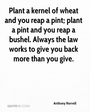 Plant a kernel of wheat and you reap a pint; plant a pint and you reap ...